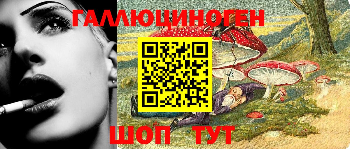 Заводоуковск  Псилоцибиновые грибы мухоморы  Вход с VPN 