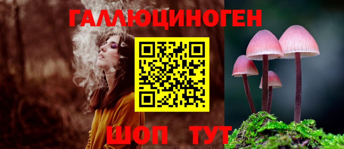 Галлюциногенные грибы MAGIC MUSHROOMS Заводоуковск