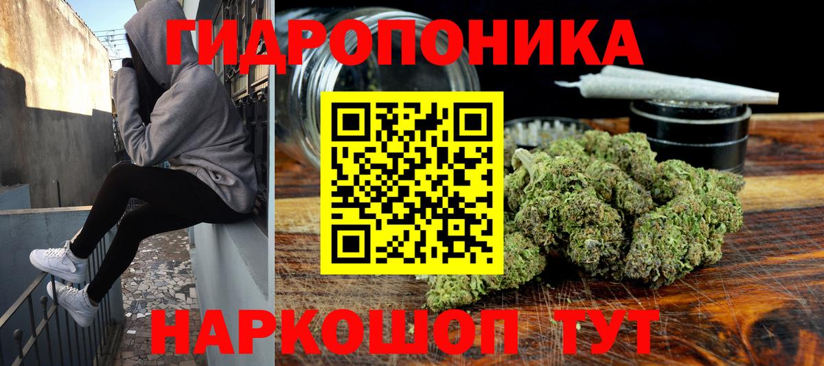 Марихуана MAZAR  Вход с VPN  Заводоуковск  Бошки Шишки гибрид 